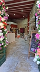Rovinj