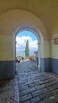 Motovun