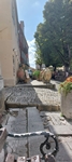 Motovun