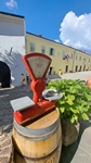 Motovun