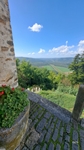Motovun