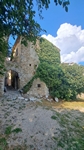 Motovun