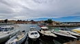 Novigrad