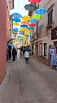 Novigrad