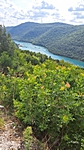 Fahrt zum Limski Kanal