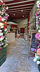 Rovinj