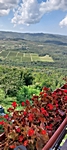 Motovun