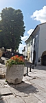 Motovun