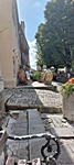 Motovun
