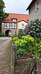 Hagenohsen