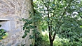 Sababurg, Dornröschenschloss