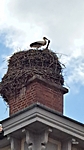 Nienburg