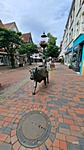 Buxtehude