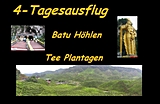 Mehrtagestripp in die Cameron Highlands