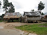 Waldmenschen-Siedlung (Orang Asli Siedlung)