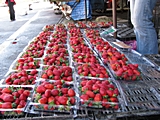 Erdbeeren wie in Deutschland, aber nicht ganz so süß.