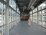 Die Verbindund zwischen den zwei Türmen: Die Sky-Bridge in der 41/42 Etage, in eine Höhe von ca. 170m und ca. 60m Länge
