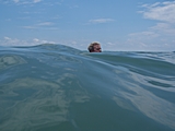 Wasser ohne Ende