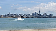Blick vom Devonport Ferry Terminal auf die City