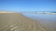 Ninety Miles Beach