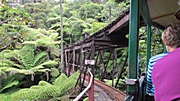 Driving Creek Railway