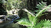 Tageswanderung im Abel Tasman NP
