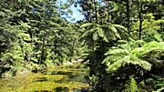 Tageswanderung im Abel Tasman NP