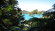 Tageswanderung im Abel Tasman NP