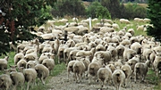 VORHER