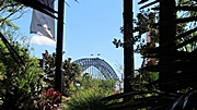 Rückreise: Stop für ein paar Tage SYDNEY