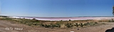Bumbunga Lake bei Lochiel (Salzsee daher die rosa Färbung).